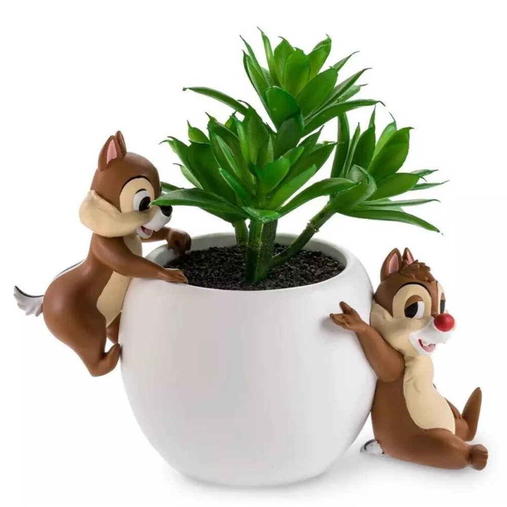 Disney Chip and Dale-Ceramic Planter w/succulent